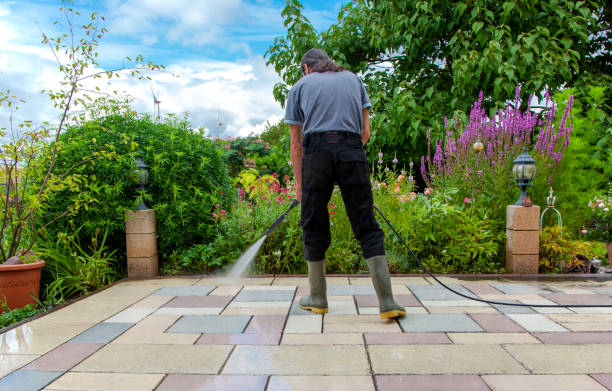 Best Sidewalk and Walkway Pressure Cleaning in North Judson, IN